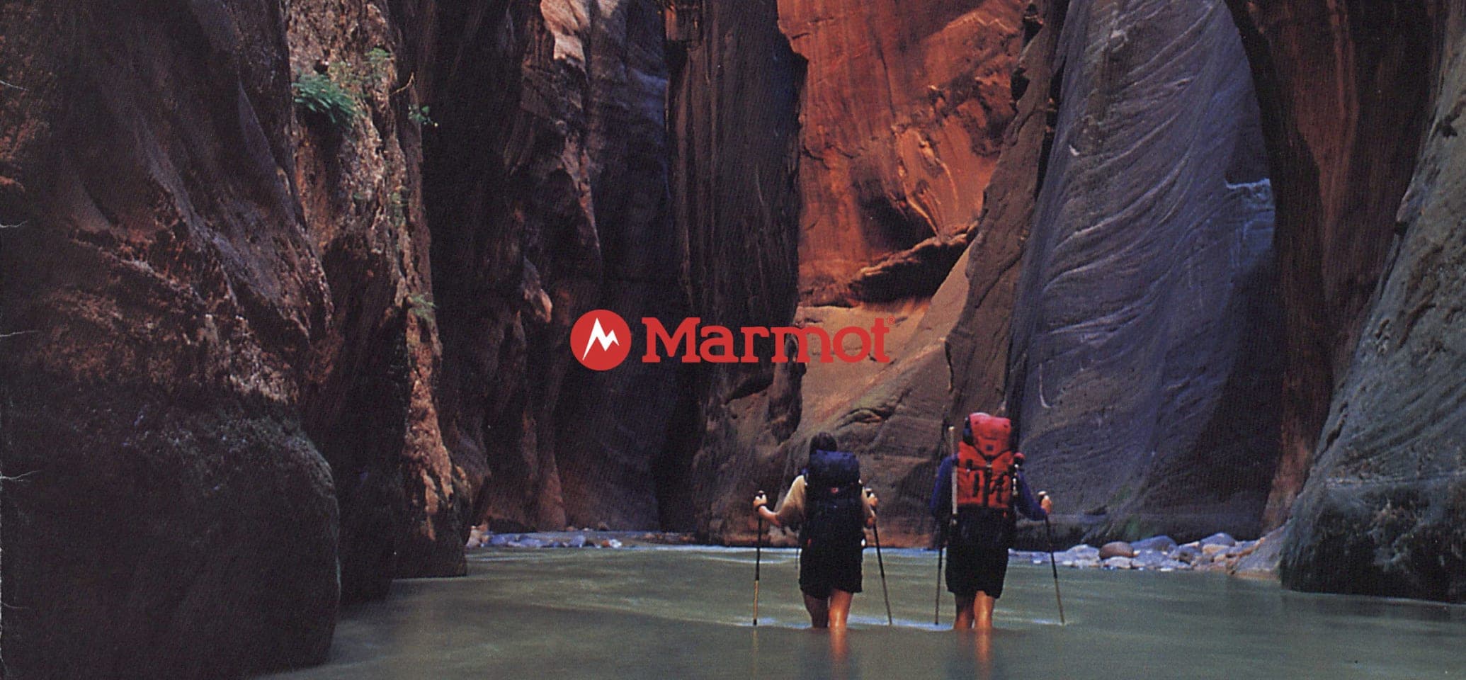 Marmot header